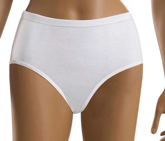 6 lı Paket Şahin Bayan Ribana Bato Slip Külot 30501 ürün görseli 1