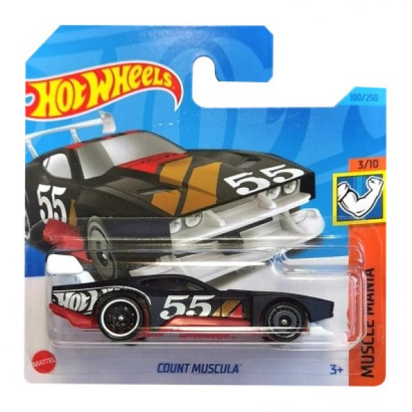 Hot Wheels Tekli Arabalar Count Muscula HKJ51-M521 ürün görseli 1