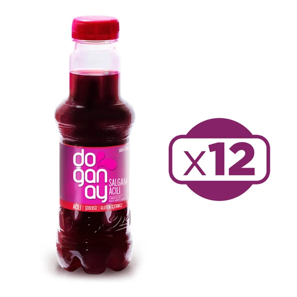 Doğanay Şalgam Suyu 300 ml Acılı x 12 Adet ürün görseli 1