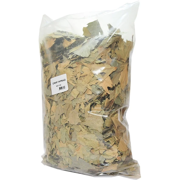 Çınar Yaprağı Doğal 1000 Gr Paket - Resim 2