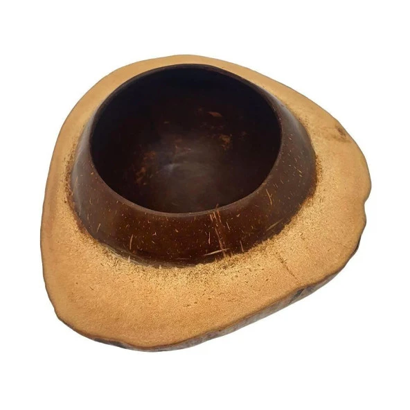 Coconut Hindistan Cevizi Kase Kabuklu Coconat Kase ürün görseli 1