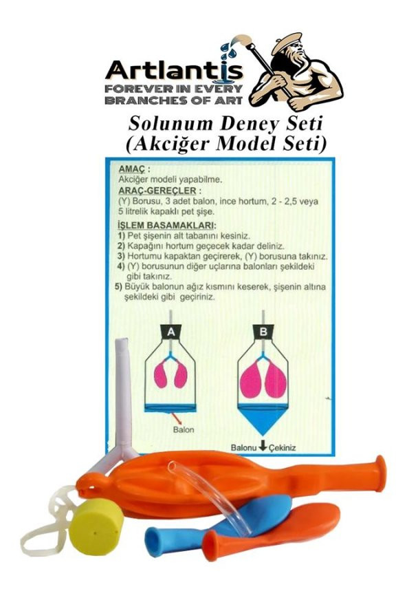 Solunum Deney Seti 7 Parça 1 Paket Akciğer Model Seti Y Boru Tıpa Balon Okul Sınıf Deney Seti ürün görseli 1