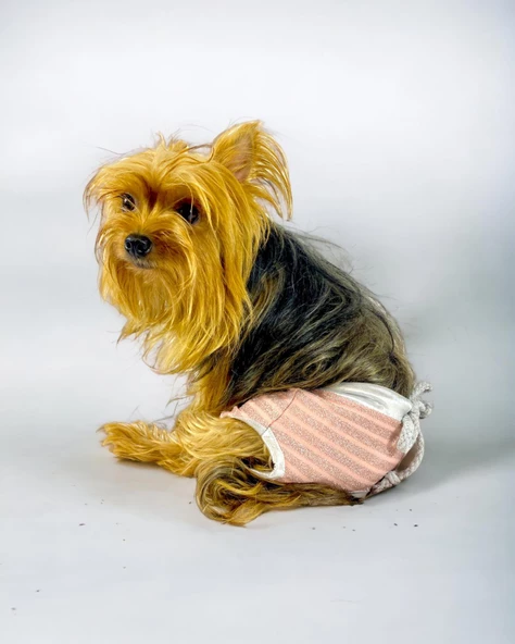 Pink Shine Kemique's Secret Köpek İç Çamaşırı Regl Külot Don ürün görseli 1