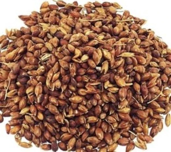 Süpürge Otu Tohumu 100 Gr ürün görseli 1