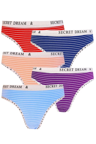 5li Kadın Pamuklu Secret Bikini Külot İç Çamaşırı Kaliteli Diana ürün görseli 1