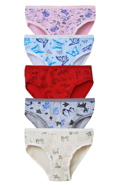 5li Kız Çocuk Desenli Slip Külot Ekonomik Sevimli Bikini ürün görseli 1