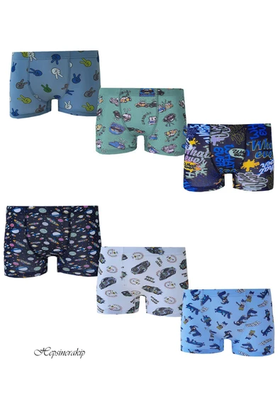 6lı Erkek Çocuk Renkli Desenli Baskılı Boxer 1013 ürün görseli 1
