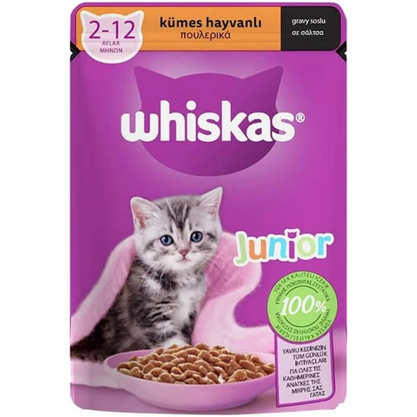 Whiskas Pouch Tavuklu Yavru Kedi Maması 85 gr ürün görseli 1