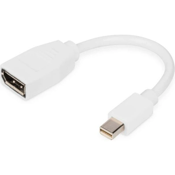 Mini Display Port To Display Port Erkek-Dişi Dönüştürücü Kablolu Adaptör ürün görseli 1