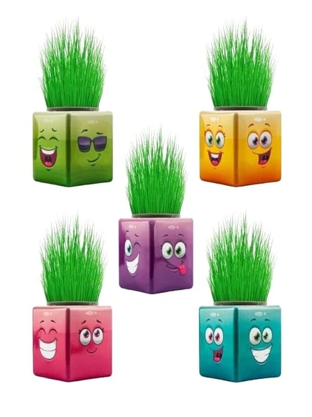 BamBamToys 17 Adet Karışık 3 Tarafı Emojili Küp Çim Adamlar Okul Ve Okul Öncesi Hediyelik Çim Adam ürün görseli 1