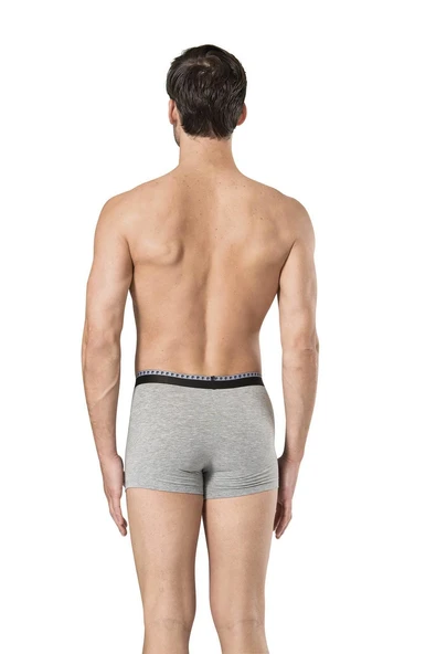 Pierre Cardin Erkek 2'Li Stretch Boxer - Resim 2