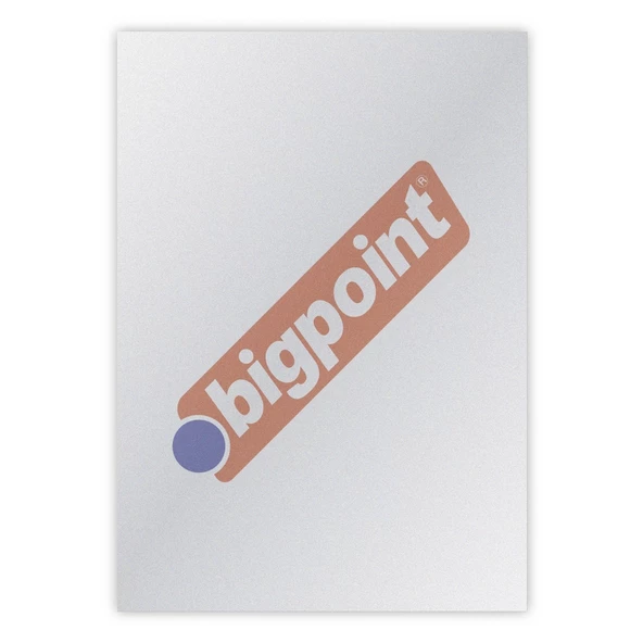 Bigpoint A4 Cilt Kapağı 150 Mikron Buzlu Şeffaf 100'lü Paket ürün görseli 1