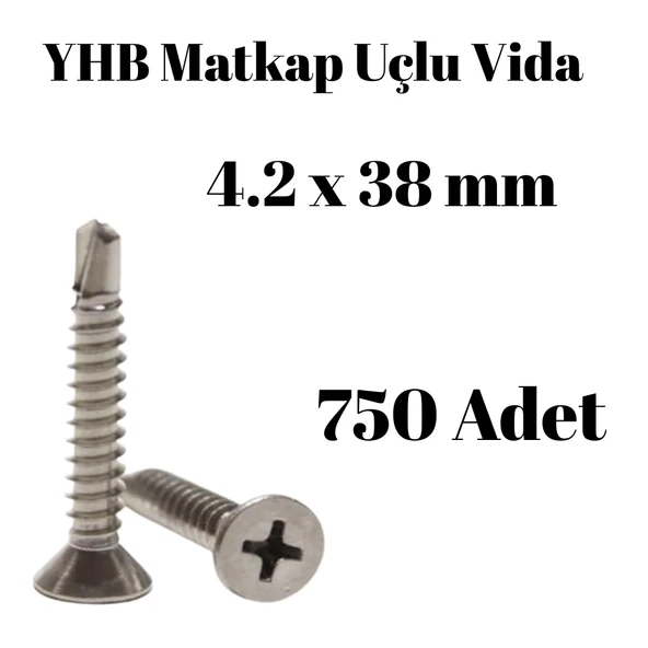 Matkap Uçlu Vida YHB 4.2x38 750'li Paket ürün görseli 1