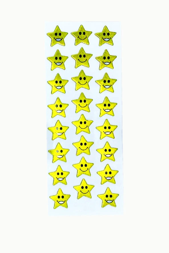 Sticker Kabartmalı Stiker Defter, Planlayıcı Etiket Yıldız Gülenyüz (cb253) 16x7 cm ürün görseli 1