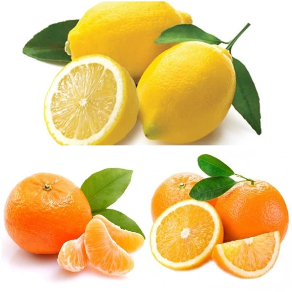 3'lü Narenciye Fidanı Paketi (Limon Portakal Mandalin) ürün görseli 1