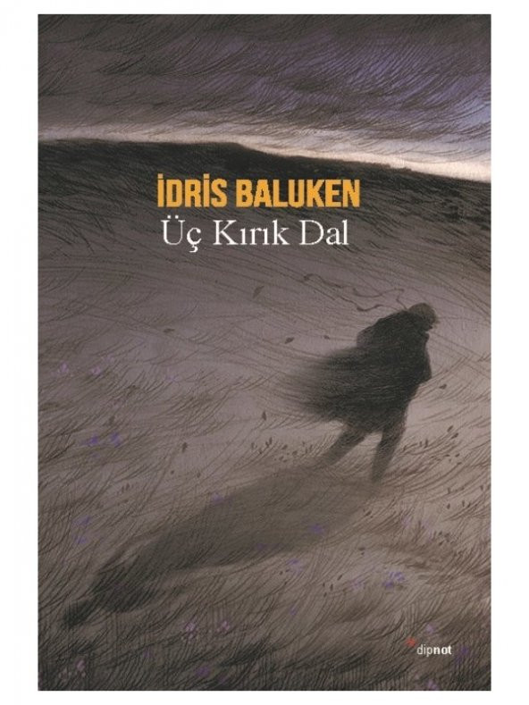 Üç Kırık Dal - İdris Baluken ürün görseli 1