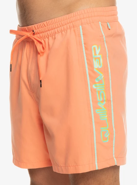 EQYJV03987  VOLLEY SHORT  QUIKSILVER - Resim 3