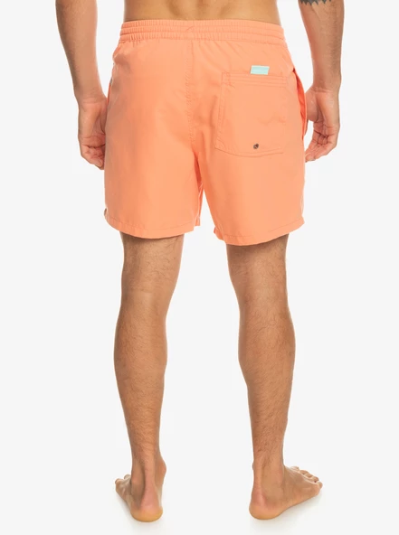 EQYJV03987  VOLLEY SHORT  QUIKSILVER - Resim 5