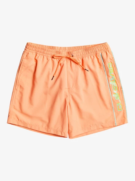 EQYJV03987  VOLLEY SHORT  QUIKSILVER - Resim 7
