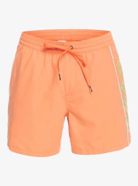 EQYJV03987  VOLLEY SHORT  QUIKSILVER - Resim 6