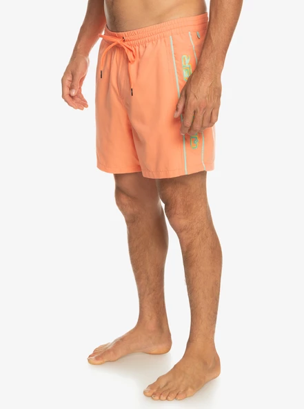 EQYJV03987  VOLLEY SHORT  QUIKSILVER - Resim 2