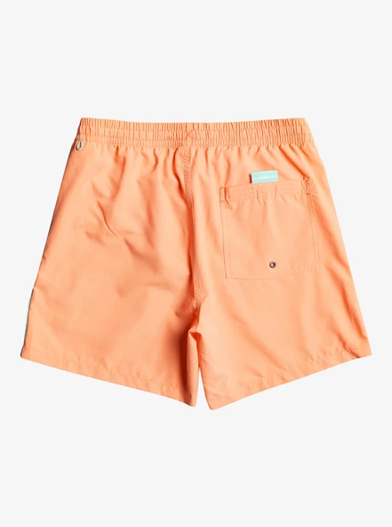 EQYJV03987  VOLLEY SHORT  QUIKSILVER - Resim 8