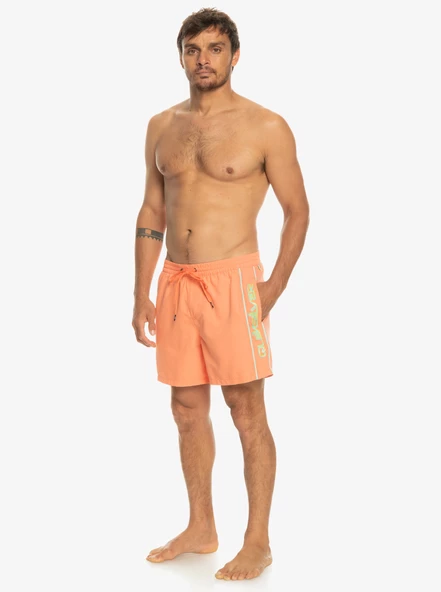 EQYJV03987  VOLLEY SHORT  QUIKSILVER - Resim 4