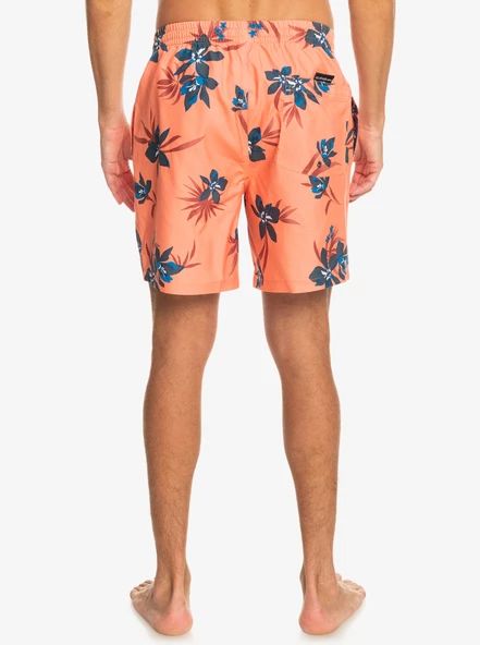 EQYJV04002  VOLLEY SHORT  QUIKSILVER - Resim 5