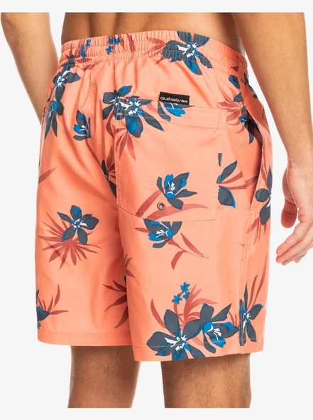 EQYJV04002  VOLLEY SHORT  QUIKSILVER - Resim 6