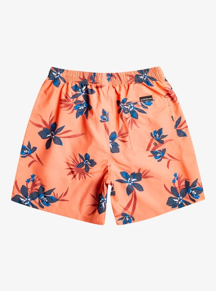 EQYJV04002  VOLLEY SHORT  QUIKSILVER - Resim 8