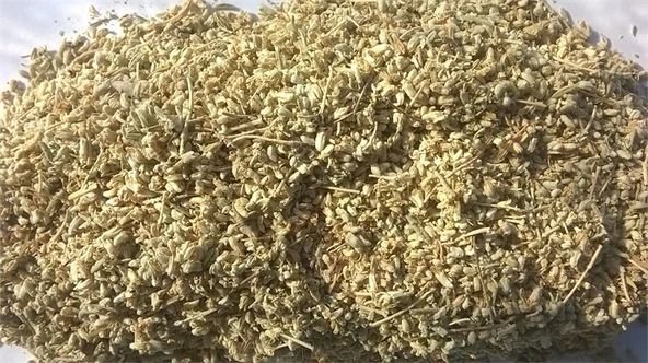 Gaziantep Pazarı Peryavşan Otu 500 G ürün görseli 1