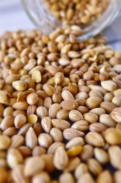 Gaziantep Pazarı Öğütülmüş Mahlep 1 KG ürün görseli 1