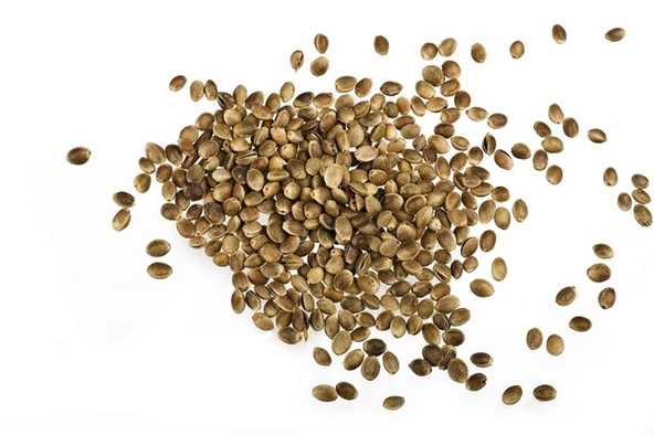 Gaziantep Pazarı Kendir Tohumu 1 KG ürün görseli 1