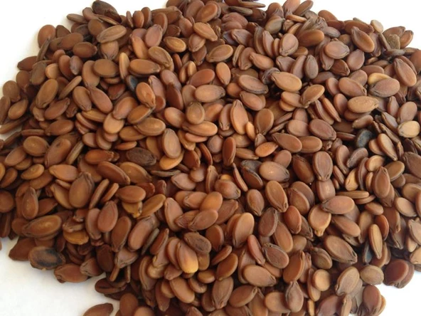 Gaziantep Pazarı Karpuz Çekirdeği 250 G ürün görseli 1
