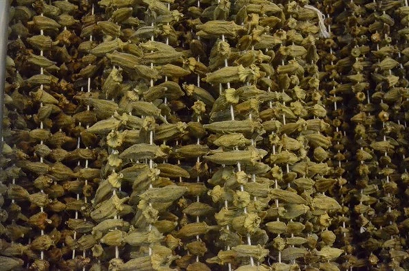 Gaziantep Pazarı Bamya Kurusu 500 G ürün görseli 1
