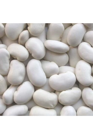 Gaziantep Pazarı Bombay Fasulye 5 KG ürün görseli 1