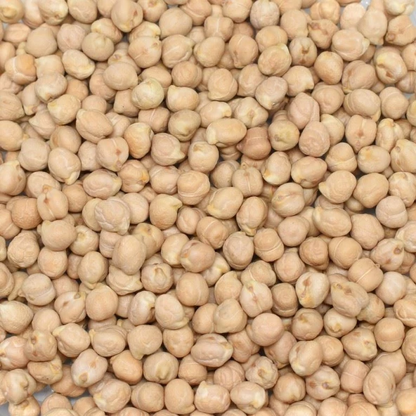 Gaziantep Pazarı Nohut 8 MM 5 KG ürün görseli 1