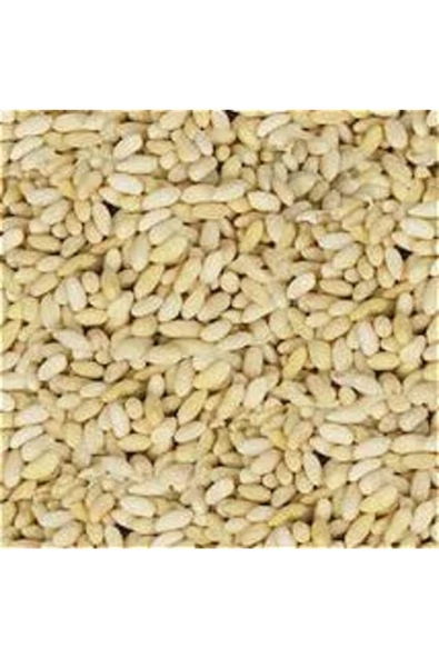 Gaziantep Pazarı Dolmalık Yer Fıstığı 500 G ürün görseli 1