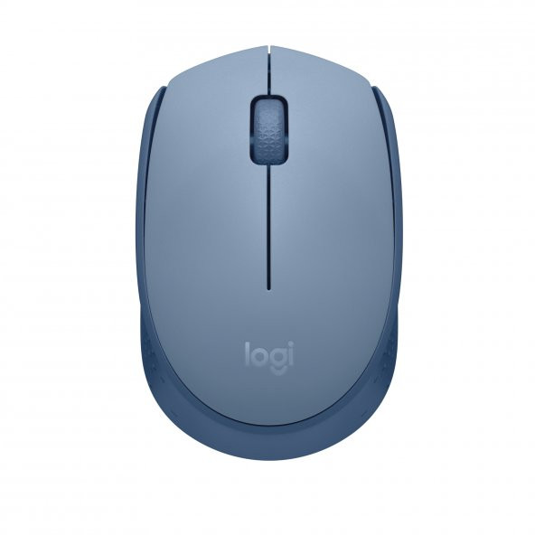 LOGITECH M171 KABLOSUZ MOUSE-BLUEGREY 910-006866 ürün görseli 1