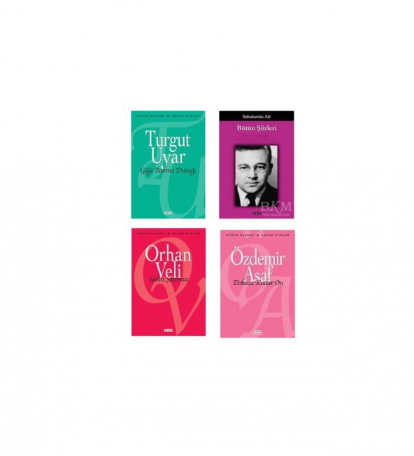 En Çok Okunan Şiir Kitapları 4 Kitap ürün görseli 1