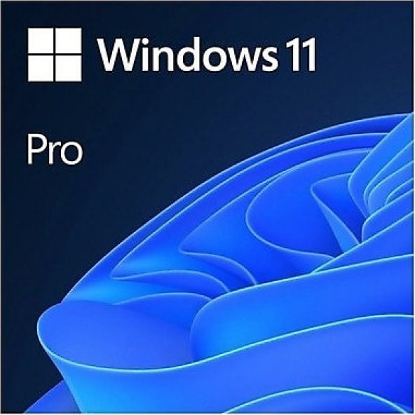 FQC-10528 Windows OEM 11 Pro 64Bit İngilizce/English ürün görseli 1