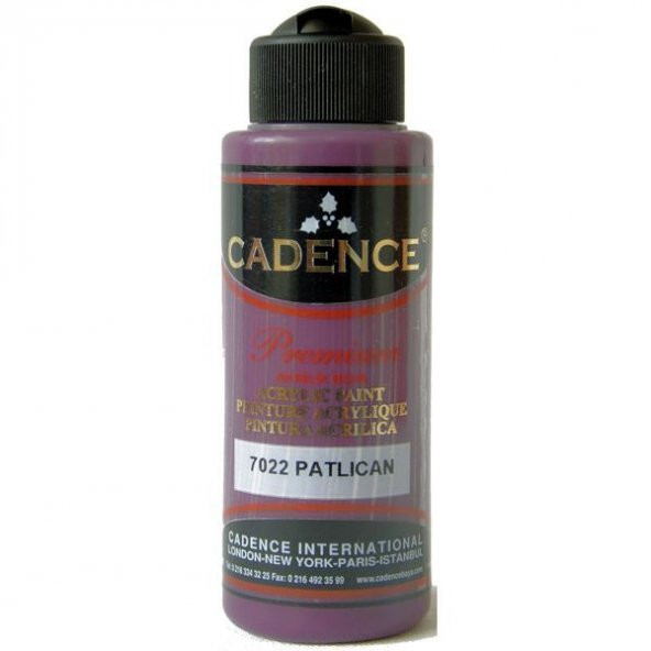 Cadence Premium Akrilik Boya 120 ml. 7022 Patlıcan ürün görseli 1