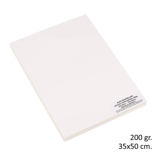 Alex Schoeller Design Ja Teknik Çizim Kağıdı 200 gr. 35x50 cm. 100lü Paket ürün görseli 1