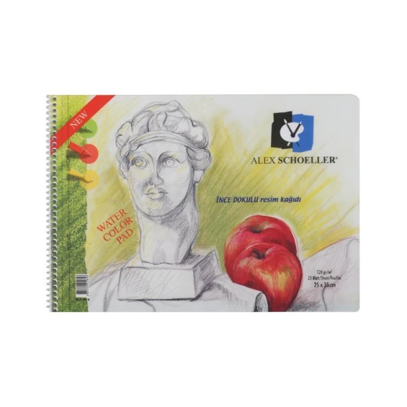 Alex Schoeller PP Kapak Resim Defteri 25x35 cm. 120 gr. 25 yp. ürün görseli 1