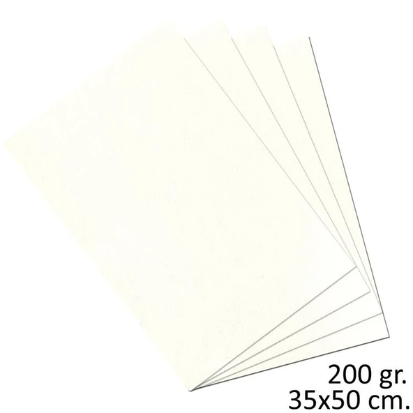 Alex Schoeller Teknik Resim Kağıdı 200 gr. 35x50 cm. 10 Adet ürün görseli 1