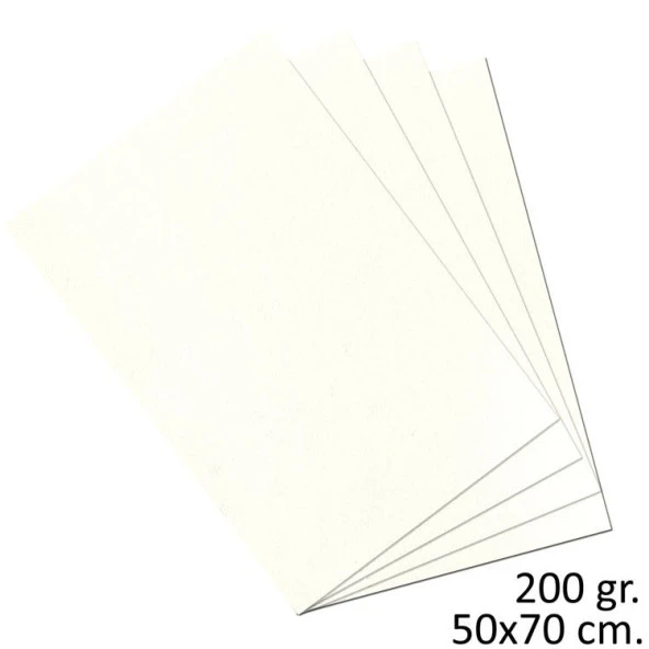 Alex Schoeller Teknik Resim Kağıdı 200 gr. 50x70 cm. 10 Adet ürün görseli 1