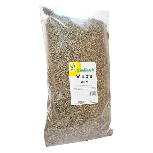 Doğal Oğul Otu 1000 Gr Paket - Resim 3