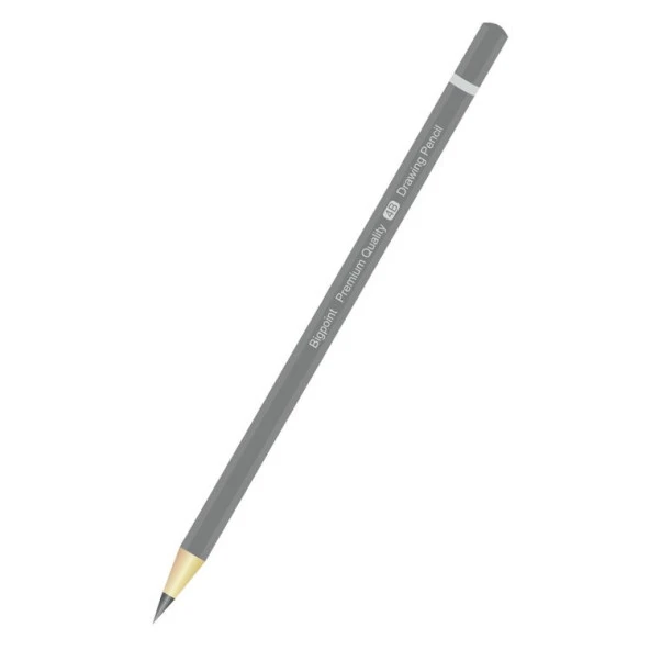 Bigpoint Premium Dereceli Kalem 4B ürün görseli 1
