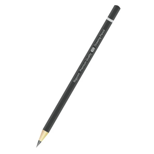 Bigpoint Premium Dereceli Kalem 8B ürün görseli 1