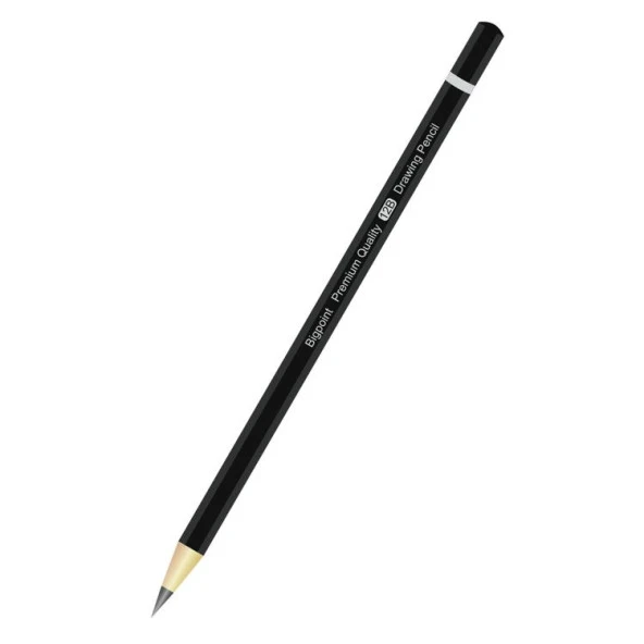 Bigpoint Premium Dereceli Kalem 12B ürün görseli 1